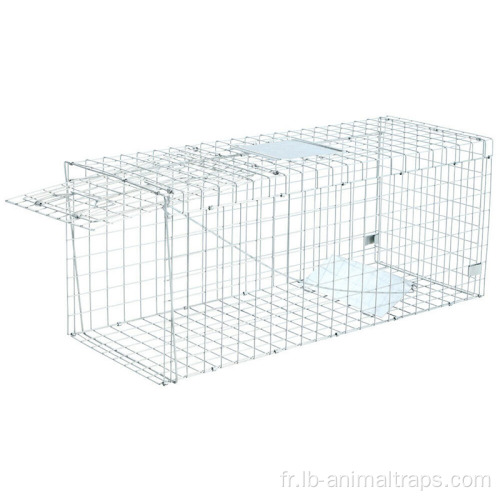 Cage de piège animal réutilisable anti-rastreux